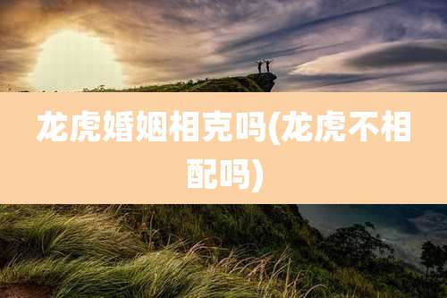 龙虎婚姻相克吗(龙虎不相配吗)