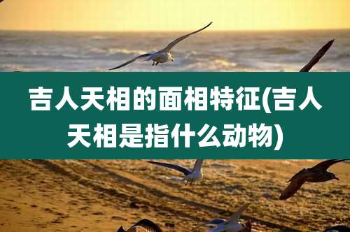 吉人天相的面相特征(吉人天相是指什么动物)