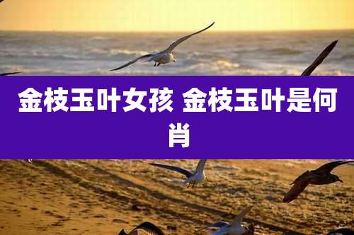 金枝玉叶女孩 金枝玉叶是何肖