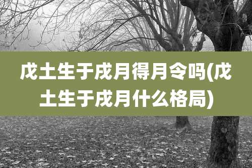 戊土生于戌月得月令吗(戊土生于戌月什么格局)