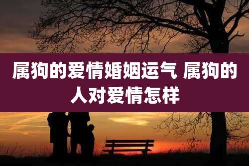 属狗的爱情婚姻运气 属狗的人对爱情怎样