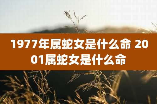 1977年属蛇女是什么命 2001属蛇女是什么命