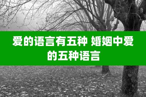 爱的语言有五种 婚姻中爱的五种语言