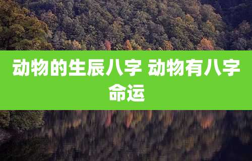 动物的生辰八字 动物有八字命运