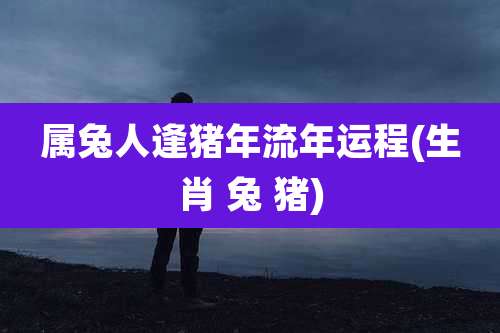 属兔人逢猪年流年运程(生肖 兔 猪)