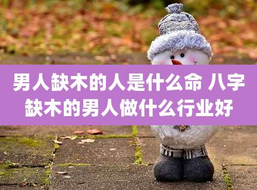男人缺木的人是什么命 八字缺木的男人做什么行业好