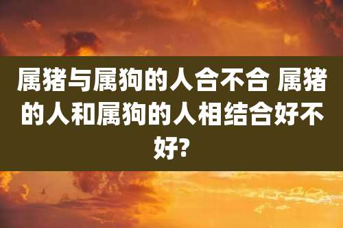 属猪与属狗的人合不合 属猪的人和属狗的人相结合好不好?