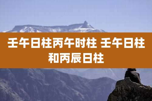 壬午日柱丙午时柱 壬午日柱和丙辰日柱