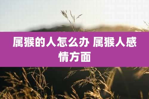 属猴的人怎么办 属猴人感情方面