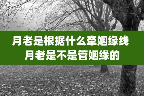 月老是根据什么牵姻缘线 月老是不是管姻缘的