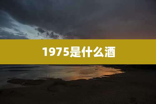 1975是什么酒
