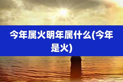 今年属火明年属什么(今年是火)