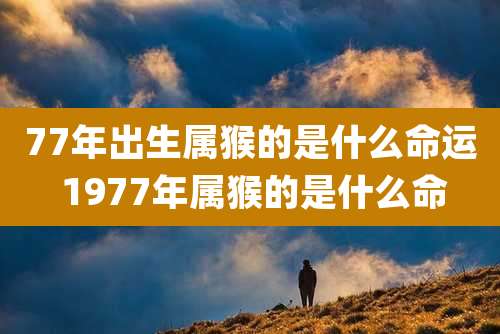 77年出生属猴的是什么命运 1977年属猴的是什么命