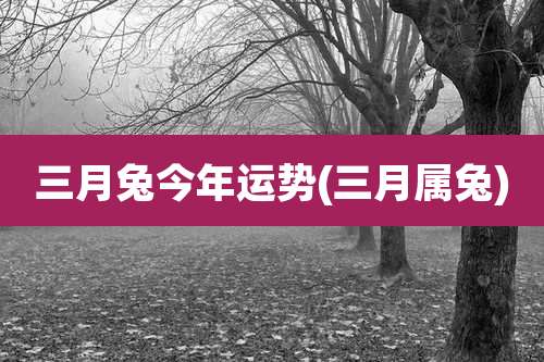 三月兔今年运势(三月属兔)