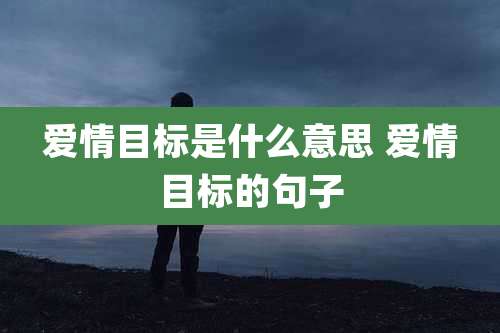 爱情目标是什么意思 爱情目标的句子