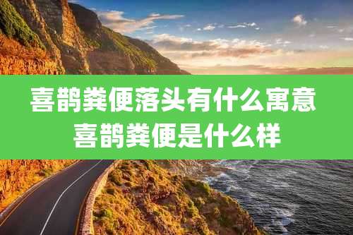 喜鹊粪便落头有什么寓意 喜鹊粪便是什么样