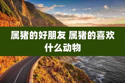 属猪的好朋友 属猪的喜欢什么动物