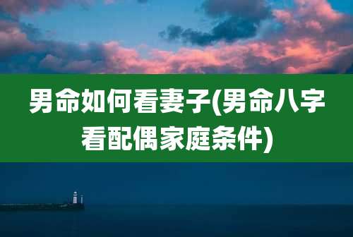 男命如何看妻子(男命八字看配偶家庭条件)