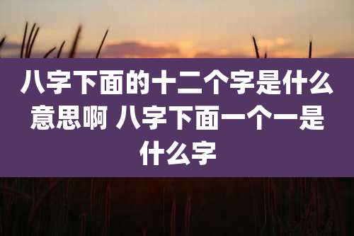 八字下面的十二个字是什么意思啊 八字下面一个一是什么字