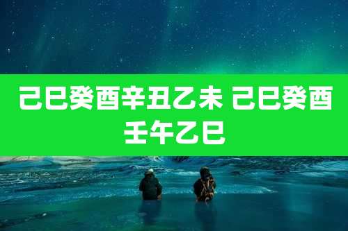 己巳癸酉辛丑乙未 己巳癸酉壬午乙巳