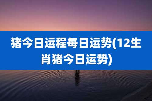 猪今日运程每日运势(12生肖猪今日运势)