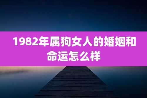 1982年属狗女人的婚姻和命运怎么样