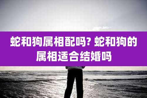 蛇和狗属相配吗? 蛇和狗的属相适合结婚吗