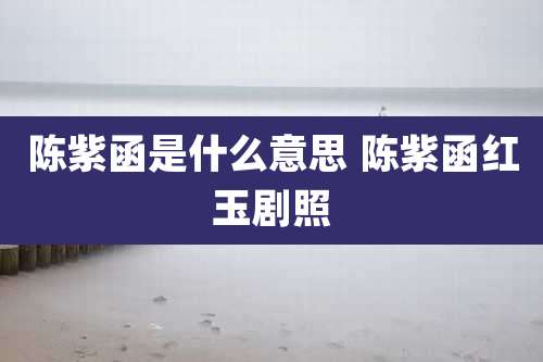 陈紫函是什么意思 陈紫函红玉剧照