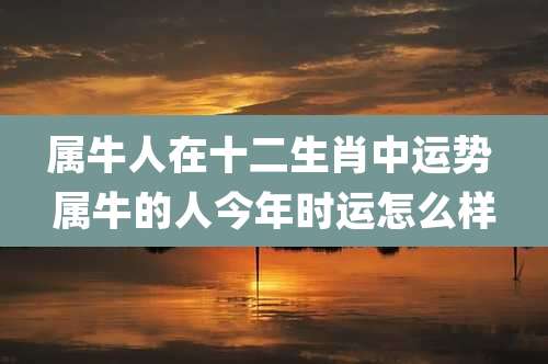 属牛人在十二生肖中运势 属牛的人今年时运怎么样