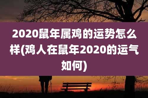 2020鼠年属鸡的运势怎么样(鸡人在鼠年2020的运气如何)