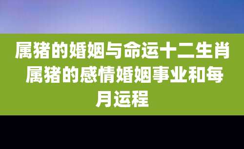 属猪的婚姻与命运十二生肖 属猪的感情婚姻事业和每月运程