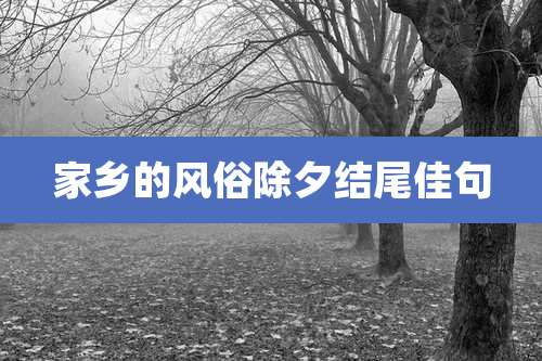 家乡的风俗除夕结尾佳句