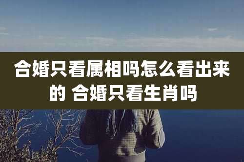 合婚只看属相吗怎么看出来的 合婚只看生肖吗