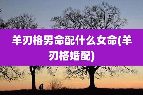 羊刃格男命配什么女命(羊刃格婚配)