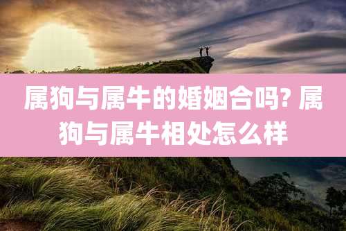 属狗与属牛的婚姻合吗? 属狗与属牛相处怎么样