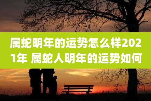 属蛇明年的运势怎么样2021年 属蛇人明年的运势如何