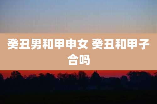 癸丑男和甲申女 癸丑和甲子合吗