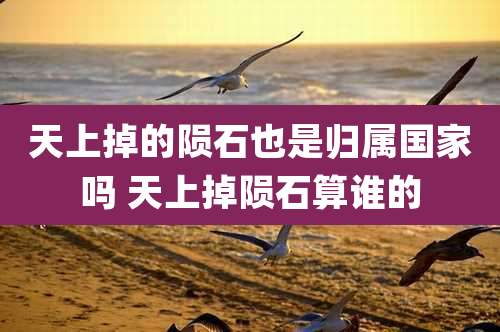 天上掉的陨石也是归属国家吗 天上掉陨石算谁的