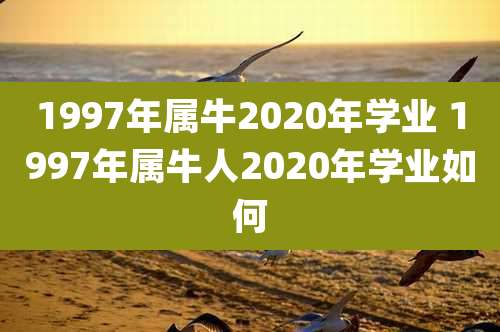 1997年属牛2020年学业 1997年属牛人2020年学业如何