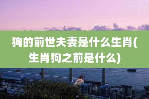 狗的前世夫妻是什么生肖(生肖狗之前是什么)