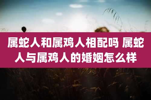 属蛇人和属鸡人相配吗 属蛇人与属鸡人的婚姻怎么样