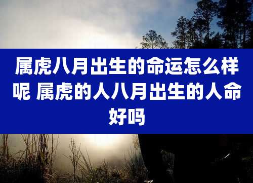 属虎八月出生的命运怎么样呢 属虎的人八月出生的人命好吗