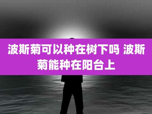 波斯菊可以种在树下吗 波斯菊能种在阳台上