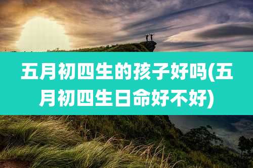 五月初四生的孩子好吗(五月初四生日命好不好)