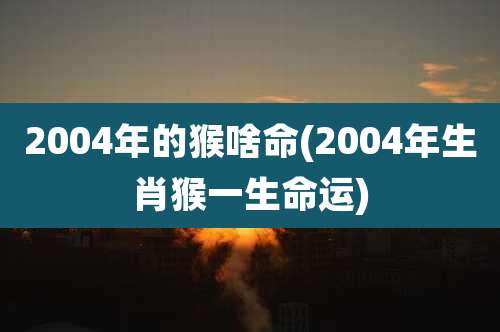 2004年的猴啥命(2004年生肖猴一生命运)