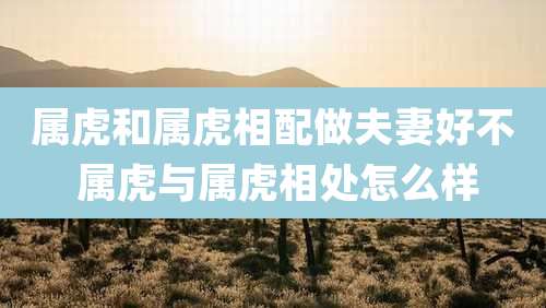 属虎和属虎相配做夫妻好不 属虎与属虎相处怎么样