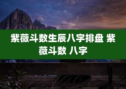 紫薇斗数生辰八字排盘 紫薇斗数 八字