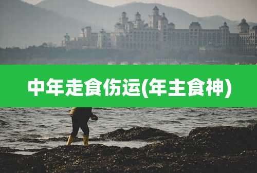中年走食伤运(年主食神)