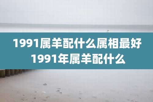 1991属羊配什么属相最好 1991年属羊配什么
