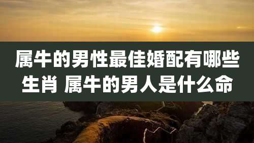属牛的男性最佳婚配有哪些生肖 属牛的男人是什么命